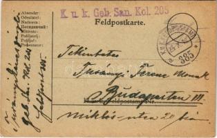 1918 Tábori Postai Levelezőlap / WWI Austro-Hungarian K.u.K. military field postcard / Feldpostkarte + K.u.K. Geb. San. Kol. 205. K.u.K. FELDPOSTAMT 385 (EK)
