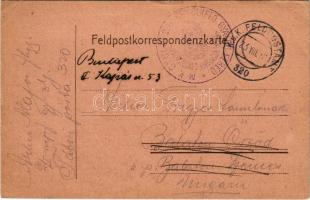 1916 Tábori Postai Levelezőlap / WWI Austro-Hungarian K.u.K. military field postcard / Feldpostkarte + "M. k. gyulai 2/I. népfölkelő gyalogezred zászlóalj parancsnokság" "K.u.K. FELDPOSTAMT 320" (EK)