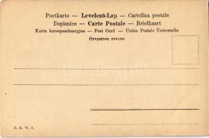 Giuseppe Garibaldi,  Italian military general, patriot. B.K.W.I