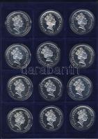 Cook szigetek 1990-92. 50$ Ag (12x) "Amerika 500 éve" sorozat 12 klf darabja plüsstálcán T...