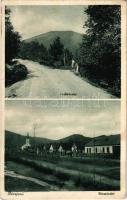 1935 Diósjenő, erdő út, utca, templom (Rb)