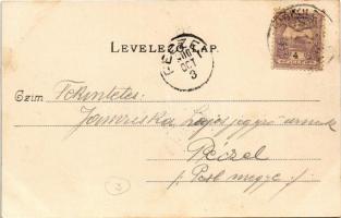 1900 Miskolc, általános látkép. Gedeon A. kiadása