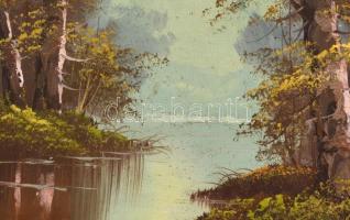 Neogrády László jelzéssel: Vízpart. Olaj, karton. Kopott, sérült fa keretben, 21×26 cm
