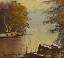 Neogrády László jelzéssel: Vízparti fák. Olaj, karton. Kopott, sérült fa keretben, 21×26 cm