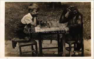 1939 Sakkozó csimpánz kisfiúval a budapesti állatkertben. Hölzel Gyula felvétele, kiadja Budapest székesfőváros állat- és növénykertje / chimpanzee playing chess