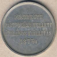 1873/4. "Pest Pilis Solt törvényesen egyesült.." fém emlékérem T:2