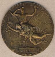Franciaország 1900. "Nemzetközi Kiállítás" dekoratív, nagyalakú Br emlékérem T:2