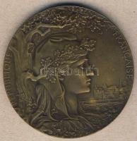 Franciaország 1900. "Nemzetközi Kiállítás" dekoratív, nagyalakú Br emlékérem T:2