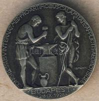 1928. "Congr.V.Internat.Med.Pro Art..-Budapest" kitűző. Szign.Reményi T:2