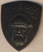 1938. "MDEOSZ-Székesfehérvár" kitűző T:2