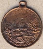 DN "Újpesti Spartacus" Br emlékérem T:2-