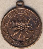 DN "Újpesti Spartacus" Br emlékérem T:2-