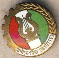 DN "Diósgyőri Együttes" zománcozott kitűző T:2