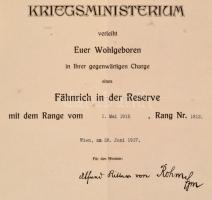 1917 Tartalékos zászlósi kinevezés