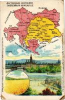 Budapest és Bécs. Osztrák-Magyar Monarchia térképe / Budapest and Wien (Vienna). Osterreich-Ungarn. Remy's Reis-Stärke geniesst Weltruf! Art Nouveau, litho (EK)