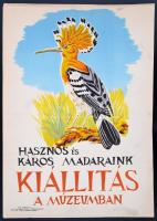 Hasznos és káros madaraink kiállítás a múzeumban plakát, 42×29 cm
