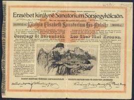 1904. "Erzsébet királyné Sanatorium Sorsjegykölcsön" sorsjegye 5K-ról (5x)