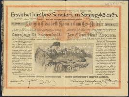 1904. "Erzsébet királyné Sanatorium Sorsjegykölcsön" sorsjegye 5K-ról (5x)