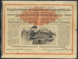 1904. "Erzsébet királyné Sanatorium Sorsjegykölcsön" sorsjegye 5K-ról (5x)