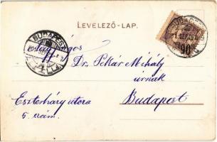 1901 Szecessziós művészlap, kiadja Bruchsteiner és fia / Art Nouveau litho (EK)