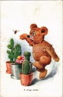 A stingy matter. Bear with cactus and bee. B.K.W.I. 62-2. artist signed (crease)