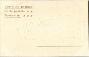 Verona, Giulietta e Romeo / Romeo & Juliet (Shakespeare). Ditta D. Raineri Emb. litho