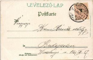 1900 Lohengrins Abschied. Richard Wagner opera art postcard. Rösch & Winter No. 15. litho