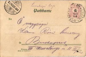 1899 Butterfly ladies. No. 112. litho