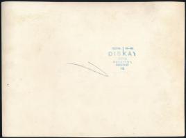 cca 1930-1940 MÁVAG Keresztényszocialista Báljának csoportképe, fotó, Diskay Fotó, 17x23 cm