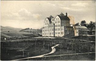 1916 Velké Losiny, Bad Gross-Ullersdorf; Heilanstalt Tesstal, Nordmähren / spa sanatorium