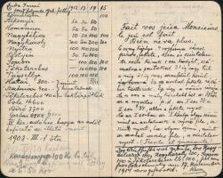 1914-1915 Azonosítatlan személy notesza, talán egy betegeskedő MÁV tisztviselő notesza, bejegyzésekk...