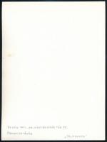 cca 1975 Balásy Pál (?-?) budapesti fotóművész hagyatékából feliratozott vintage fotó (Tél a Dunán),...