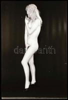 A hölgyek öröme, az urak esztétikai élménye, különböző időpontokban, eltérő helyszíneken és több fot...