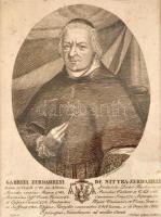 Nyitraszerdahelyi Szerdahelyi Gábor (1742-1813) bölcseleti és teológiai doktor, besztercebányai püspök rézmetszetű portréja, 15x19 cm Üvegezett keretben.