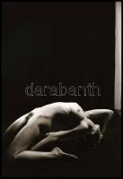 A női test szépsége, különböző időpontokban, eltérő helyszíneken és több fotómodell közreműködésével...