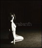 Aktfotózások, különböző időpontokban, eltérő helyszíneken és több fotómodell közreműködésével készül...