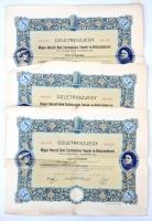 Budapest 1931-1933. Magyar Nemzeti Bank Tisztviselőinek Takarék- és Hitelszövetkezete üzletrészjegye 40P-ről, szárazpecséttel, szelvényekkel (3x) T:III
