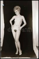 cca 1976 Több modell közreműködésével készült, szolidan erotikus felvételek, 13 db vintage NEGATÍV, ...