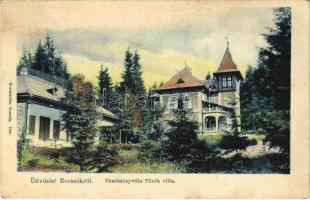 1907 Borszék, Borsec; Urmánczy és Török villa / villas