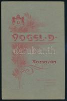 cca1910 Rozsnyó, Vogel D. fényképész műtermében készült vintage fotó, 16,3x10,4 cm