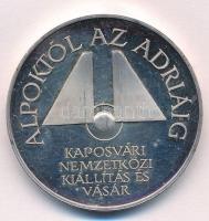 2006. "Kaposvár / Alpoktól az Adriáig - Kaposvári Nemzetközi KIállítás és Vásár" fém emlék...