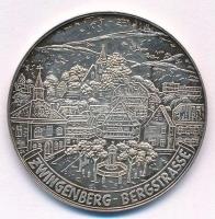 NSZK 1974. Zwingenberg, Bergstrasse jelzett Ag emlékérem (15,01g/1000/35mm) T:2 FRG 1974. Zwingenberg, Bergstrasse Ag medallion with hallmark (15,01g/1000/35mm) C:XF