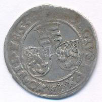 Német Államok / Szászország 1534. Garas Ag "Johann Friedrich és Georg" (2.44g) T:2-
Germa...