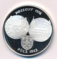 Rétfalvi Sándor (1941-) 1998. "75 éves a Pécsi 1. Belklinika /  Pozsony 1918 - Pécs 1923" ...