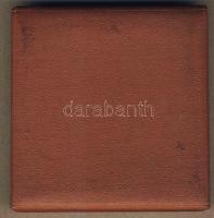 Kis hagyaték tétel, 12db, benne plakettek, kitüntetések (katonai és polgári), zsetonok, díjérmek, be...