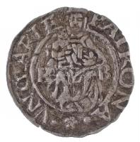 1575K-B Denár Ag "Miksa" (0,42g) T:2,2-
Hungary 1575K-B Denar Ag "Maximilian" (...