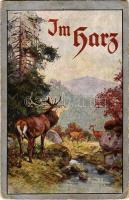1922 Rübeland (Harz), Hotel und Pension Hermannshöhle / hotel advertising card, deer (EB)