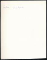 cca 1994 fotó a Ponyvaregény c. filmből, hátoldalon feliratozva, 22,5x17,5 cm