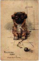 Pekingese Puppy. Raphael Tuck & Sons Oilette Sketches of Doggies Postcard No. 8682. s: Maud West Watson (pinhole)