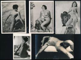 10 db erotikus fotó, 9,5×6,5 cm és 14×9 cm közötti méretekben
